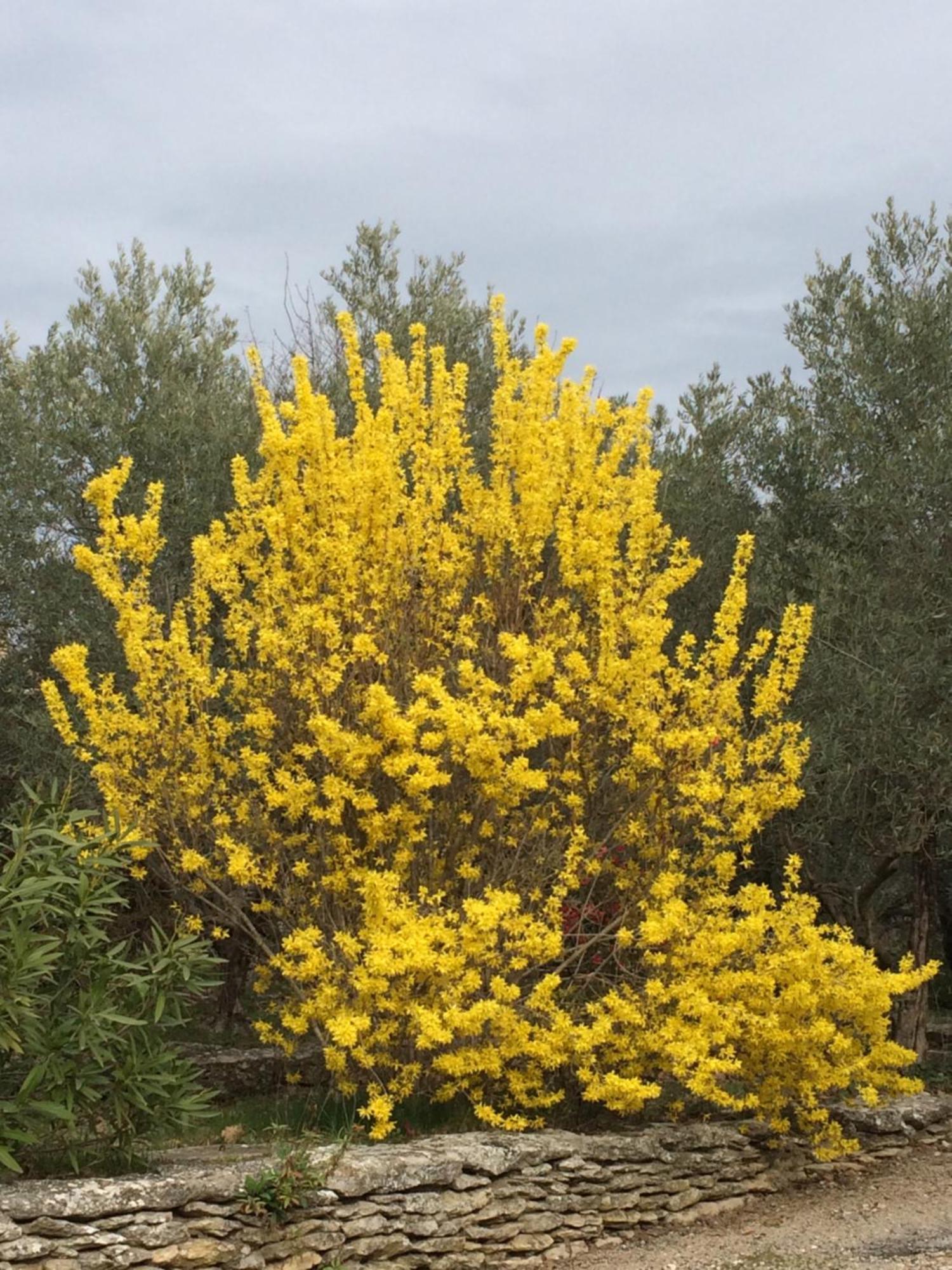 Le Verger Gordes Luaran gambar