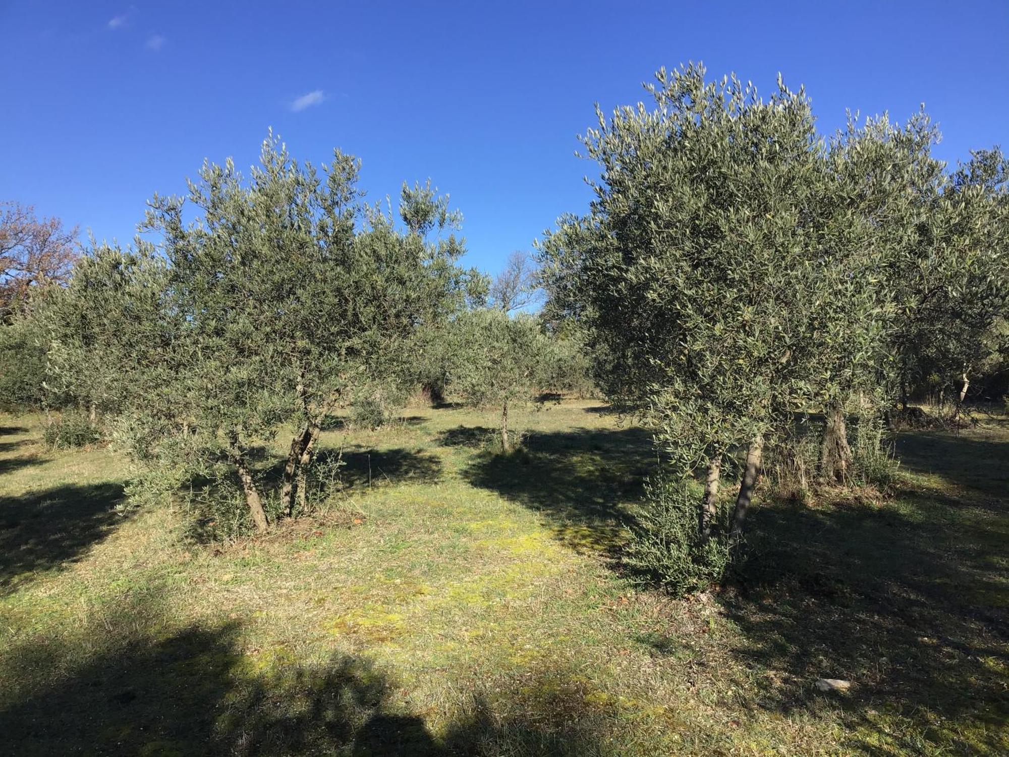 Le Verger Gordes Luaran gambar